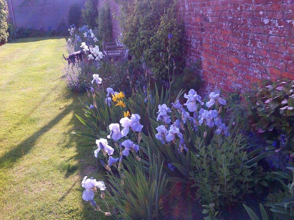 Bed and Breakfast Coxley House à Wells Extérieur photo